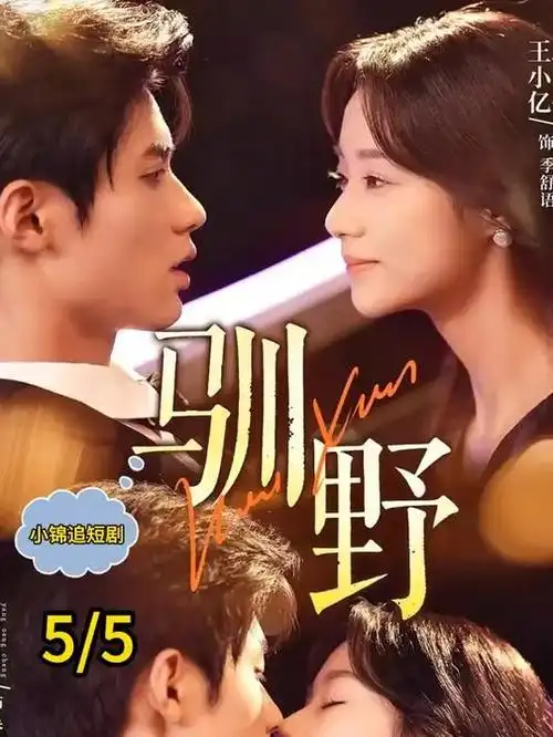 暴雨将至 剧集海报 神马影院在线播放